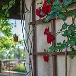 Apartamento Red *
