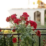 Red * Vrsar